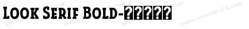Look Serif Bold字体转换